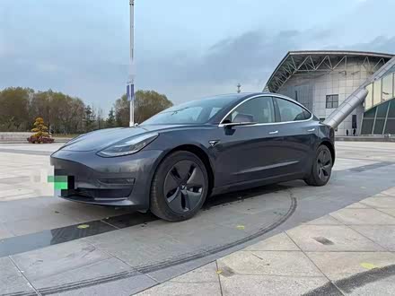 Model 3进口 2019款 长续航后驱版