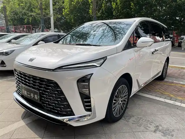 BUICK  GL8 NEW ENERGY 2024