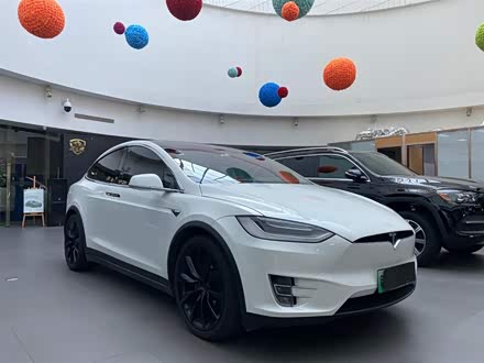 Model X 2020款 Performance 高性能版