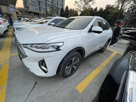哈弗F7x 2019款 1.5T 两驱极智潮玩版