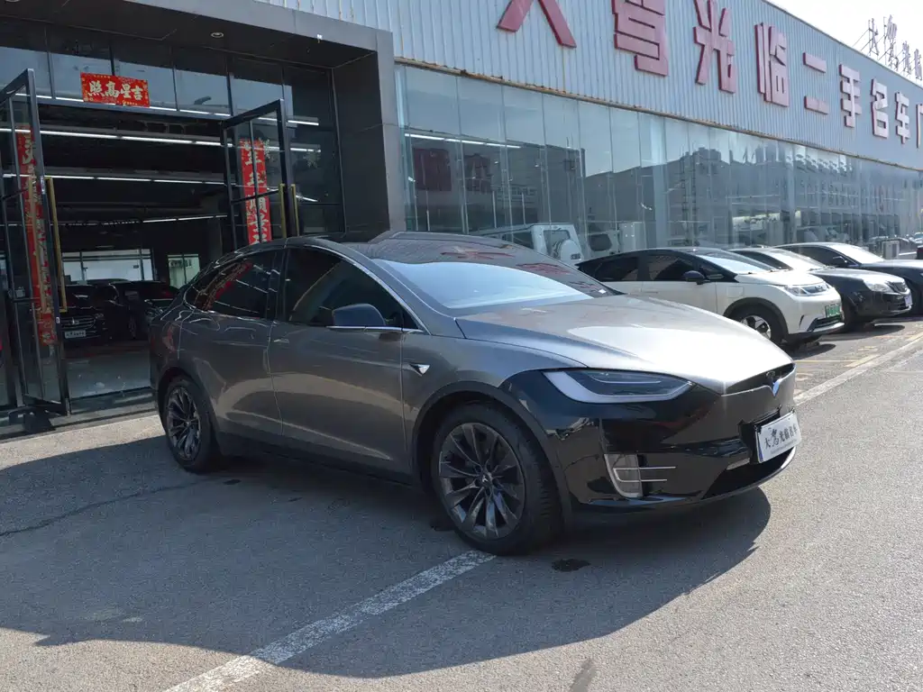 TESLA MODEL X