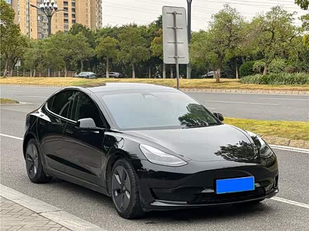 Model 3 2021款 标准续航后驱升级版 3D6