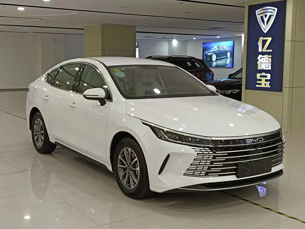 BYD DESTROYER 05