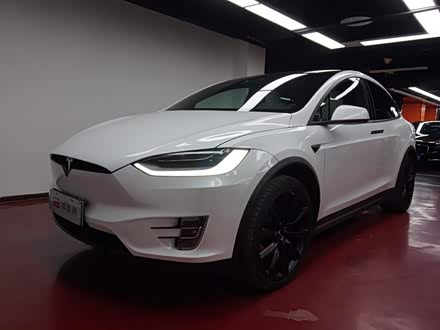 Model X 2020款 长续航升级版