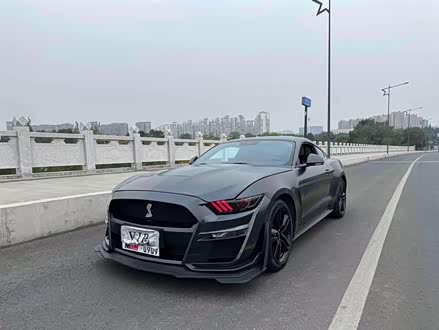 Mustang 2015款 2.3T 性能版