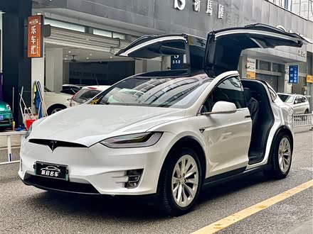 Model X 2017款 Model X 100D 长续航版