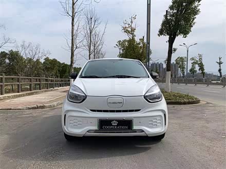 科莱威CLEVER 2021款 302km卓越版