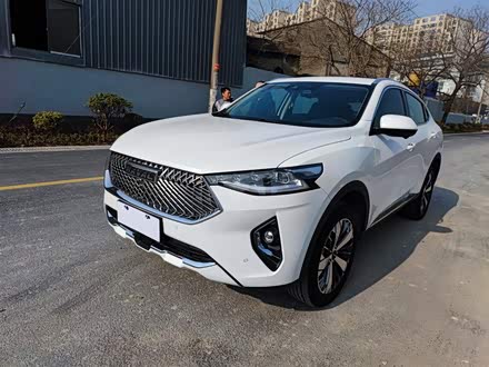 哈弗F7x 2021款 1.5T 两驱极智科技版