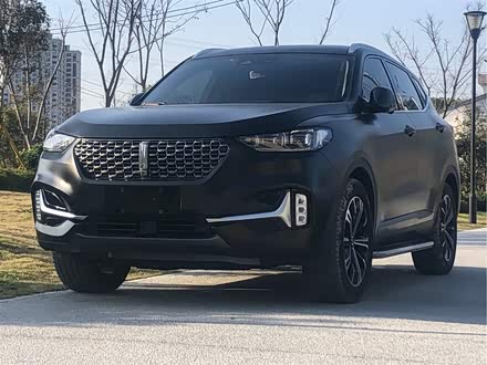 魏牌 VV6 2021款 2.0T 两驱智护+