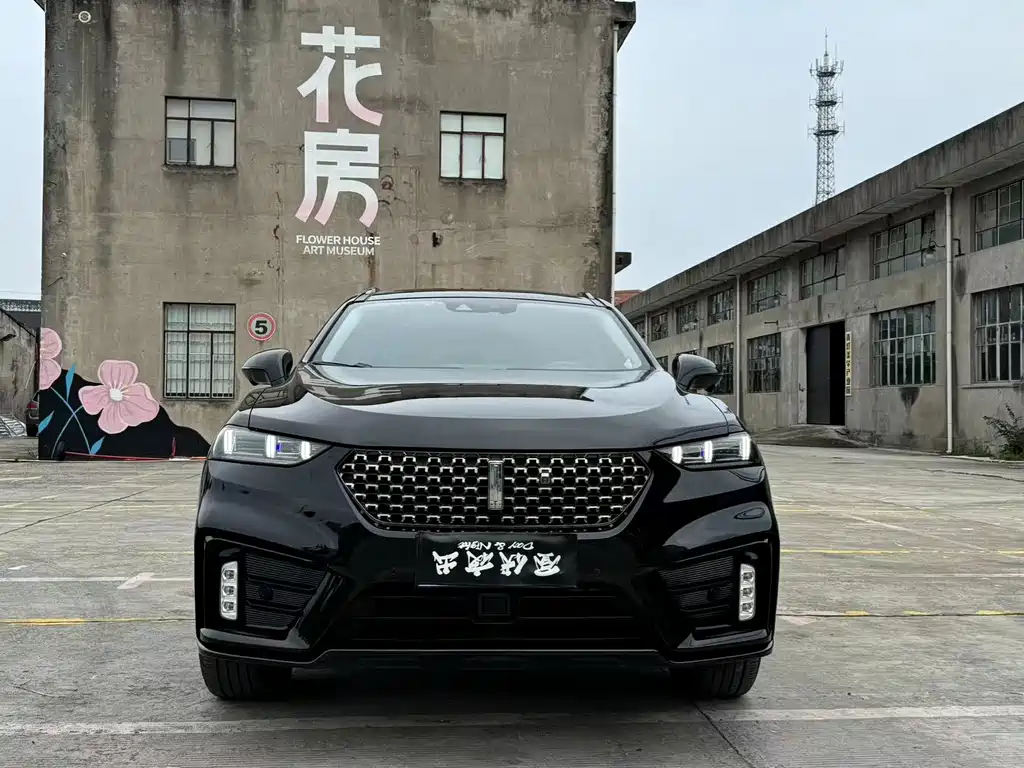 WEI PAI WEI BRAND VV7 GT