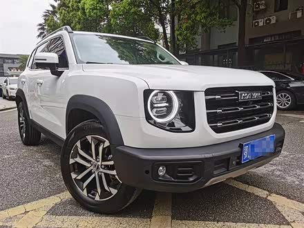 哈弗大狗 2021款 1.5T DCT两驱边牧版
