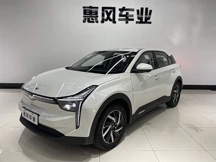 哪吒U 2021款 Pro 500 环球版