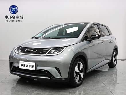 海豚 2023款 420km 时尚版