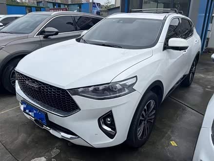 哈弗F7 2021款 1.5T 两驱i潮