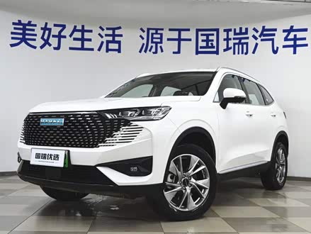 哈弗H6新能源 2023款 DHT-PHEV 110KM 悦行版