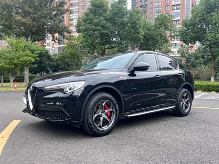 Stelvio斯坦维 2017款 2.0T 200HP 精英版