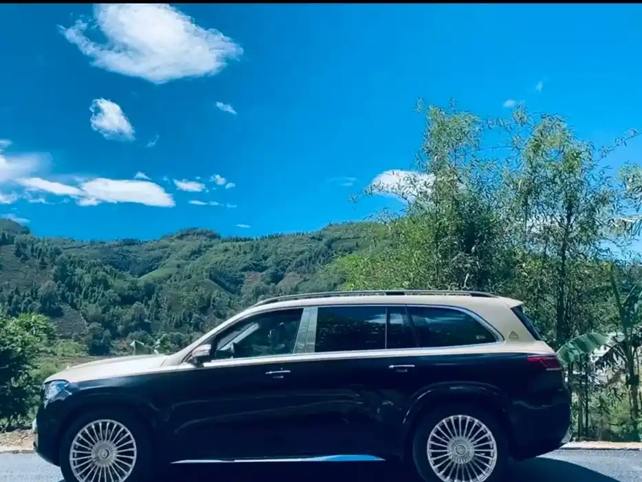 MERCEDES-BENZ  GLS