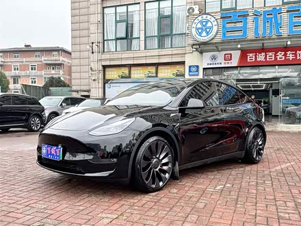 Model Y 2022款 Performance高性能全轮驱动版