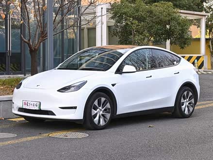 Model Y 2021款 长续航全轮驱动版