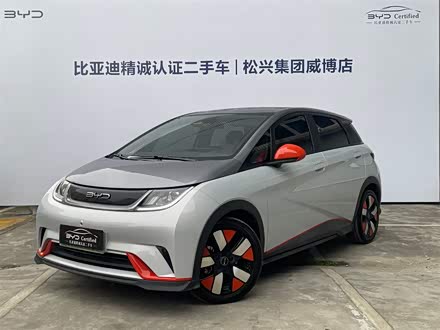 海豚 2021款 401km 骑士版