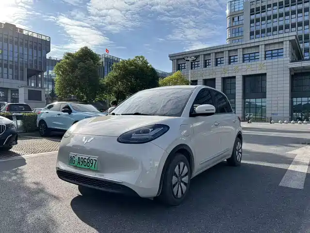 WULING AUTOMOBILE WULING BINGGUO 2024