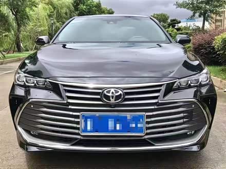 亚洲龙 2019款 2.5L 进取版 国V