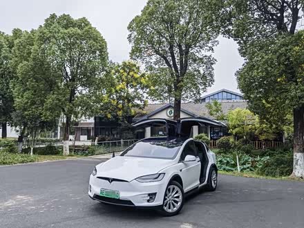 Model X 2019款 长续航版