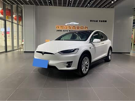 Model X 2017款 Model X 100D 长续航版