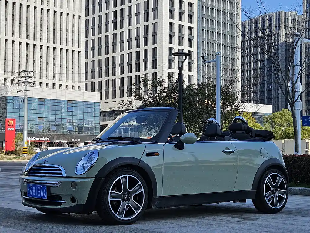 Mini Mini 2010