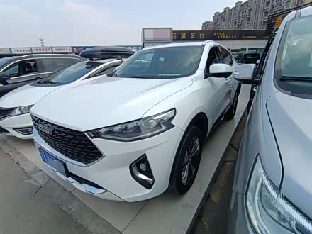 哈弗F7x 2019款 1.5T 两驱极智潮玩版