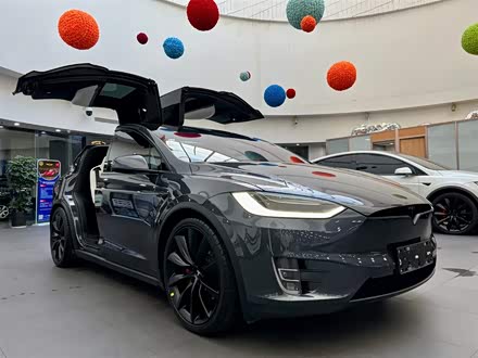 Model X 2019款 Performance 高性能版