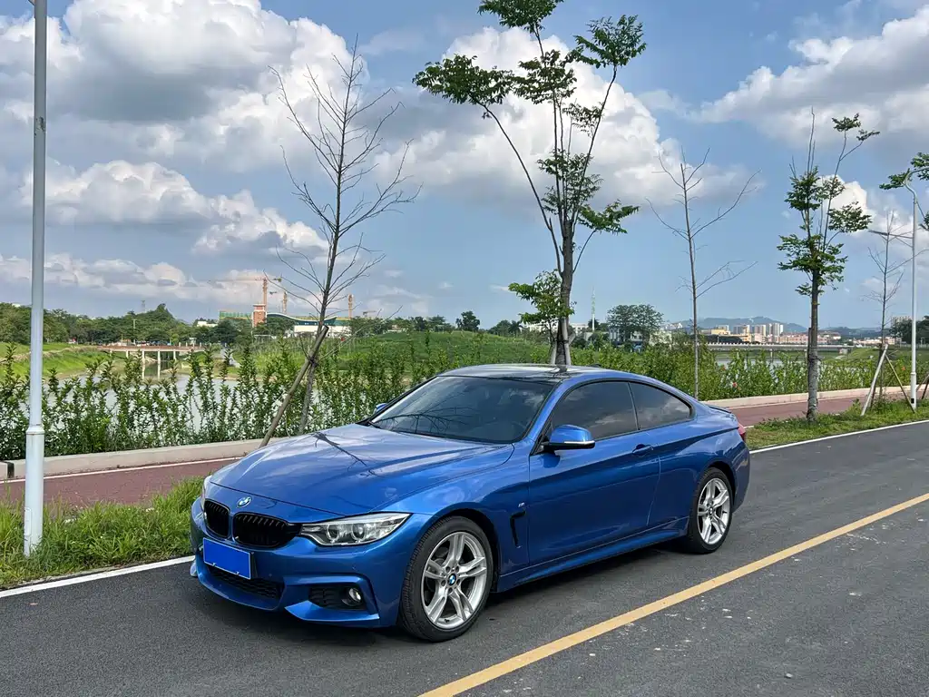 BMW 4 SERIES