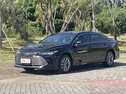 亚洲龙 2019款 2.5L 进取版 国V