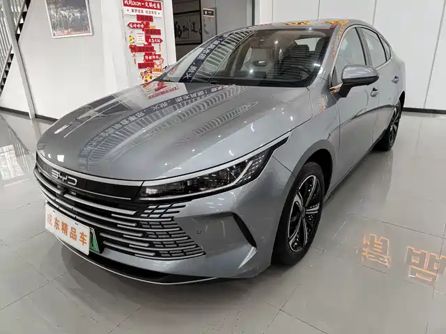 BYD DESTROYER 05 2023