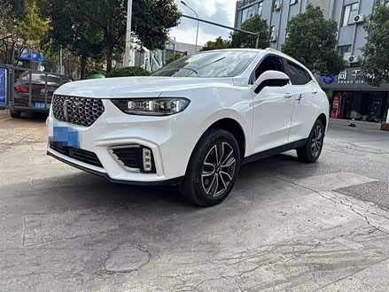 魏牌 VV5 2021款 1.5T 两驱智先锋
