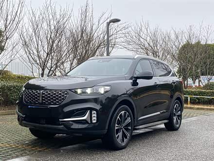 魏牌 VV6 2021款 2.0T 两驱智悦+