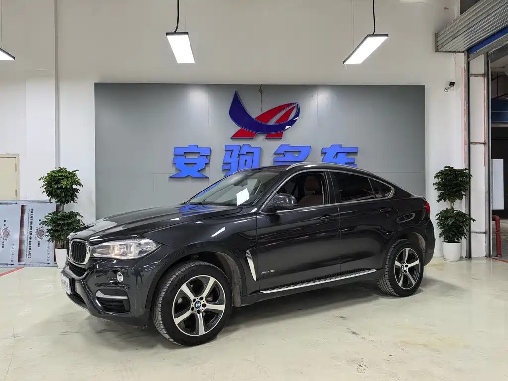 BMW X6