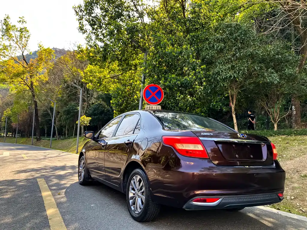 GEELY AUTOMOBILE VISION