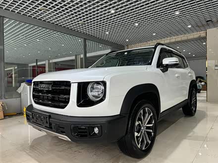 哈弗大狗 2022款 1.5T DCT两驱边牧版