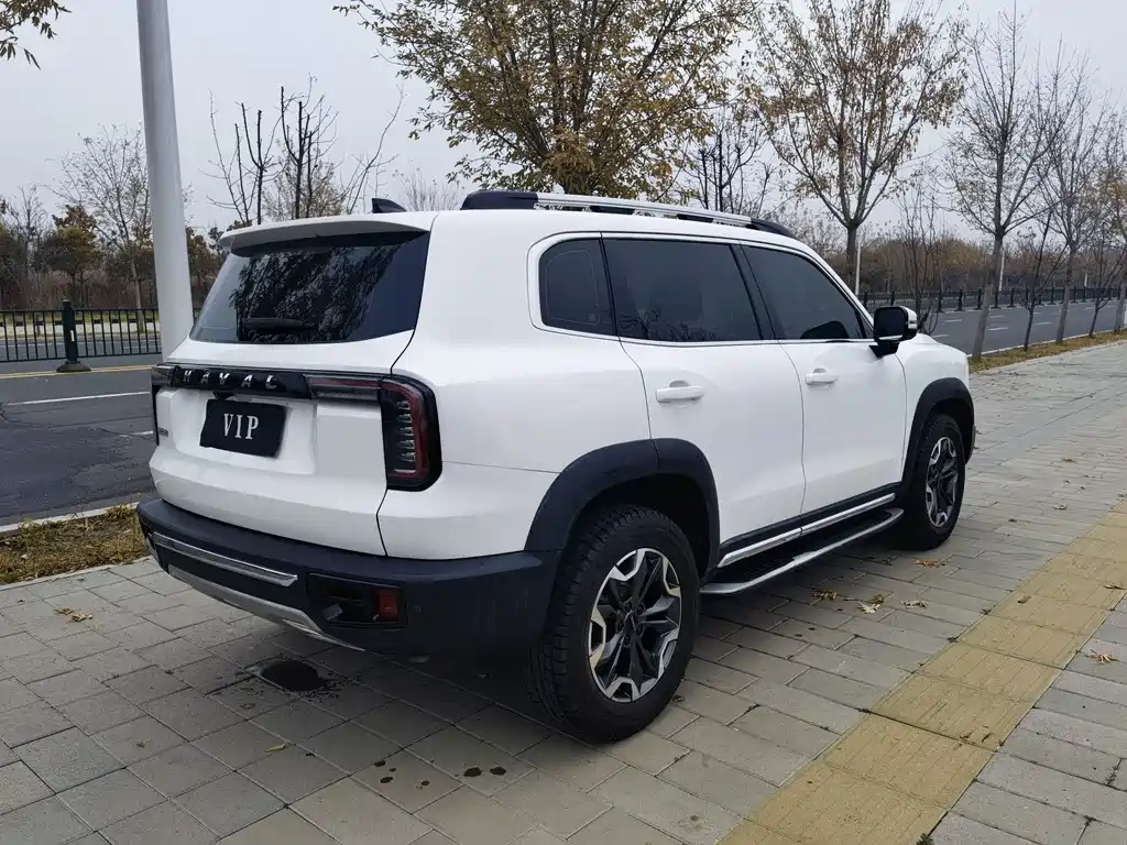 HAVAL BIG DOG