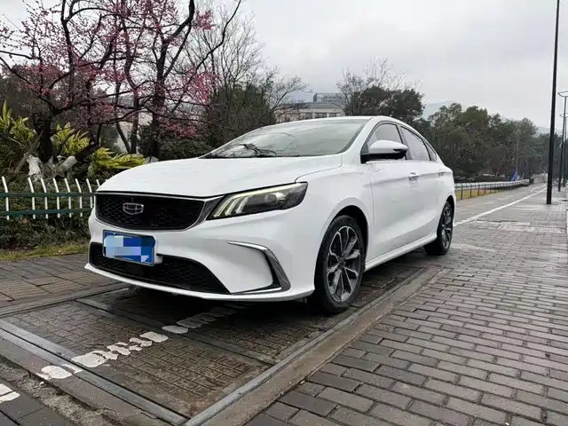 GEELY AUTOMOBILE BINRUI