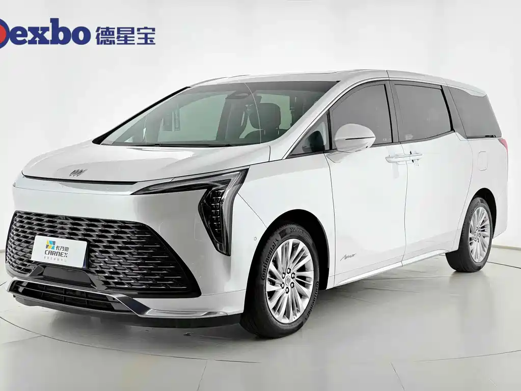 Век 2025 года 2.0T семиместная версия Yunsai 500 km 2024