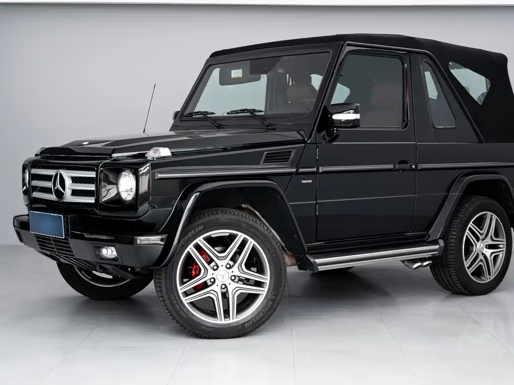 Mercedes-Benz G-Class G 2009 G 500