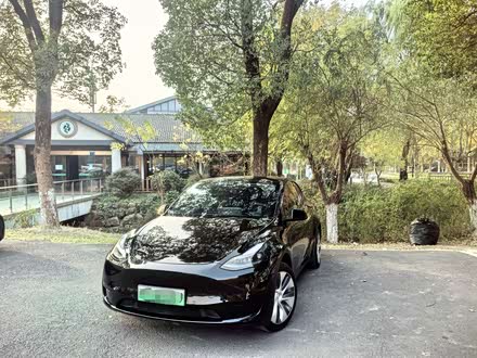 Model Y 2021款 长续航全轮驱动版 3D7