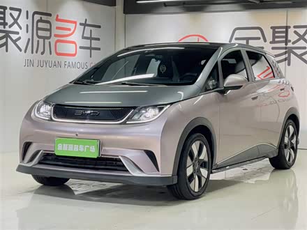 海豚 2021款 401km 骑士版