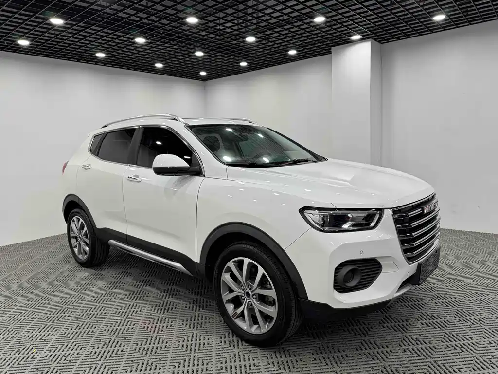 HAVAL H2S
