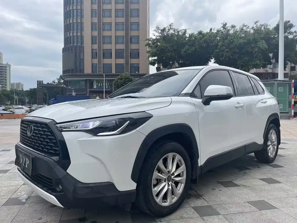 Карола Рэйс 2022 года, 2.0L Элитная версия 22000 km 2023