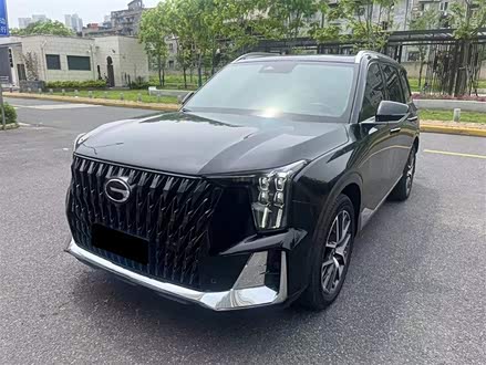 传祺GS8 2022款 双擎系列 2.0TM 两驱尊贵版 （七座）