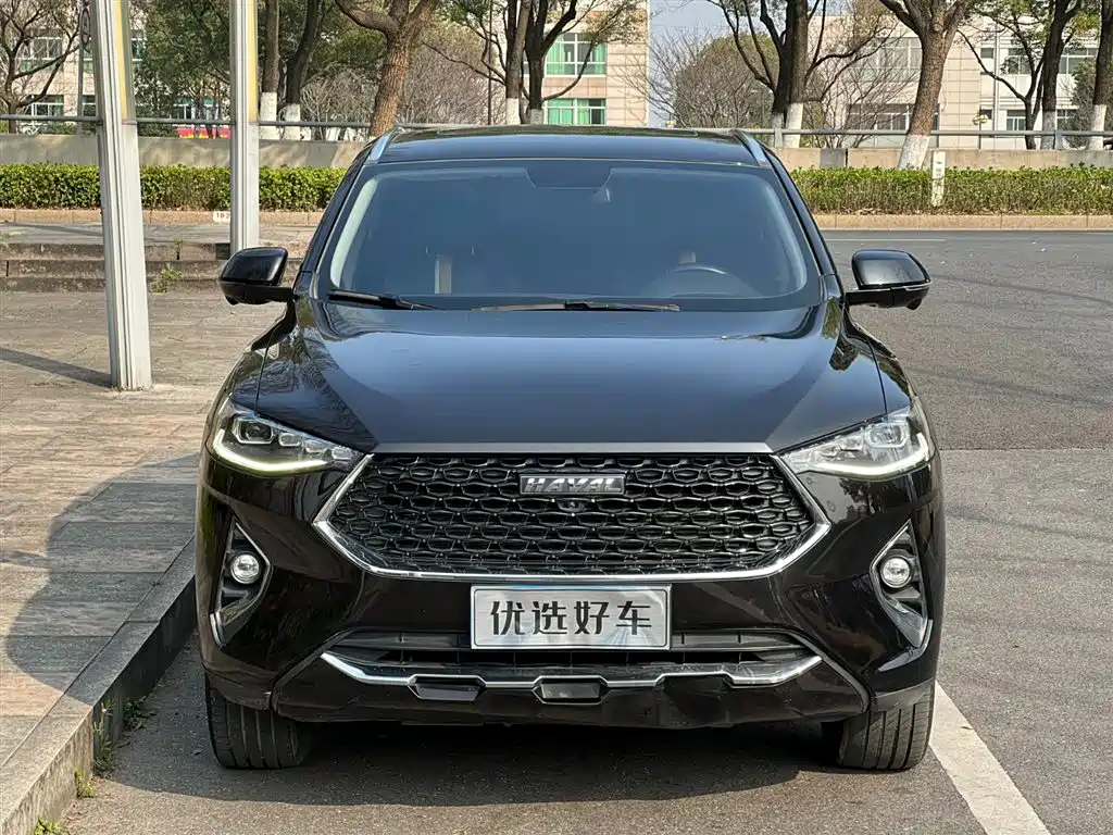 HAVAL F7X