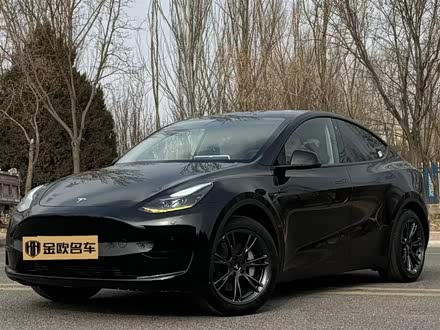 Model Y 2023款 后轮驱动版